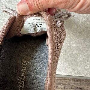 Allbirds Tree Runners